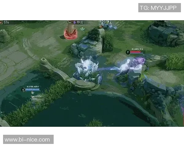 王者荣耀巨献：探秘TES的状态