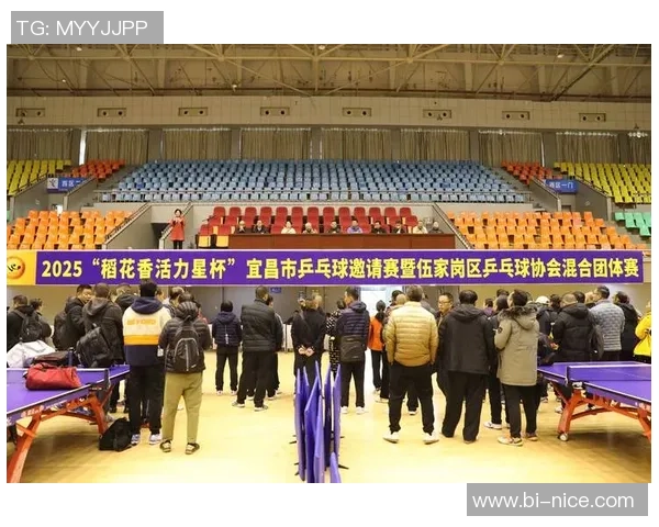 乒乓球焦点：北京乒乓球队的力量探讨